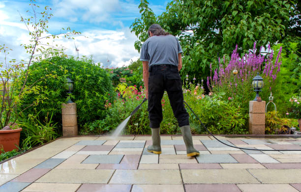 Best Driveway Pressure Washing  in Warr Acres, OK